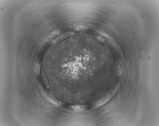 X0000088020558200706011327