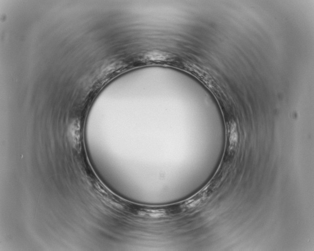 X0000088020559200706011327