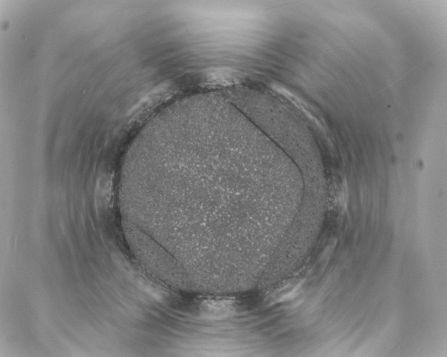 X0000088020560200706011327