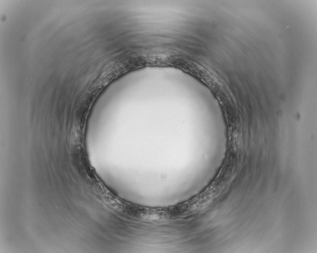 X0000088020561200706011327