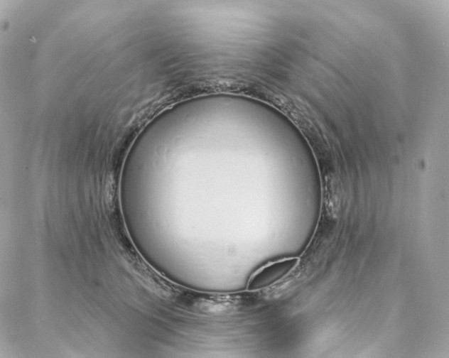 X0000088020563200706011327