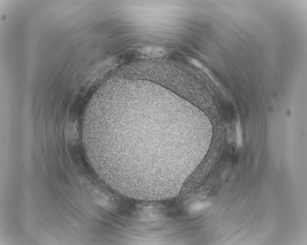 X0000088020564200706011327