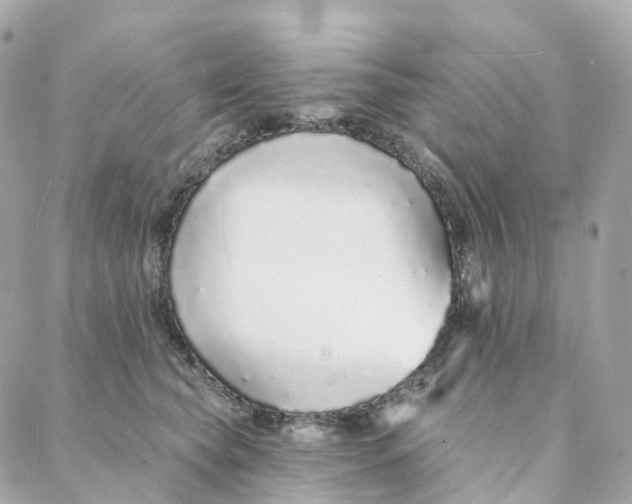 X0000088020565200706011327