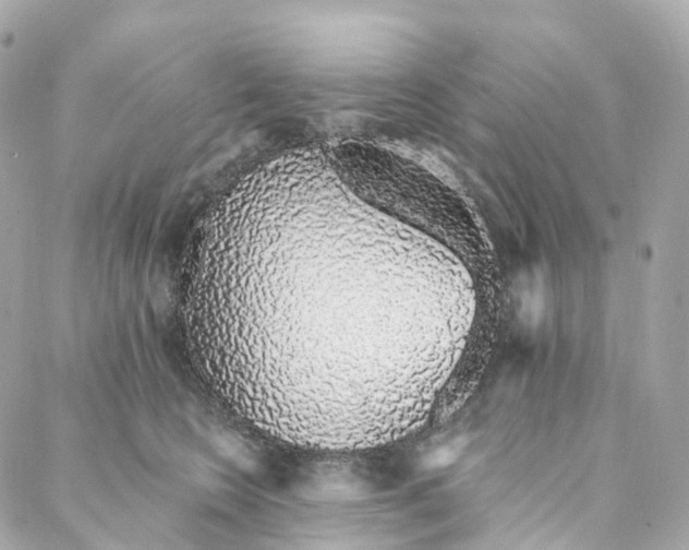 X0000088020566200706011327