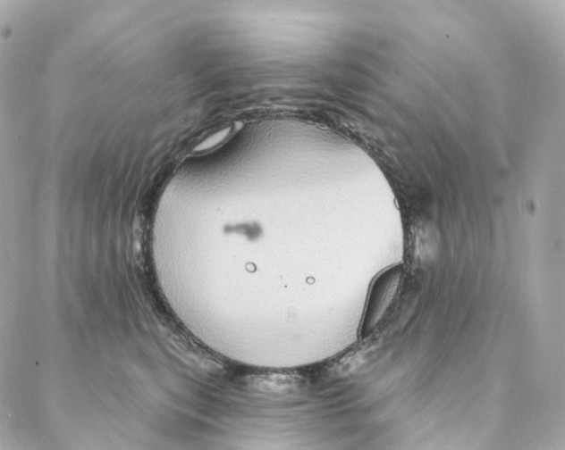 X0000088020567200706011327