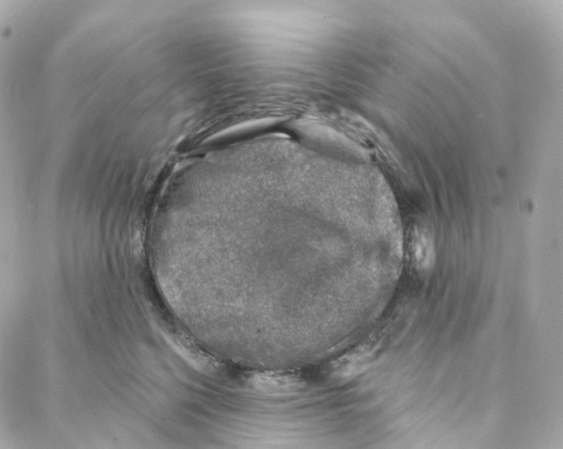 X0000088020568200706011327