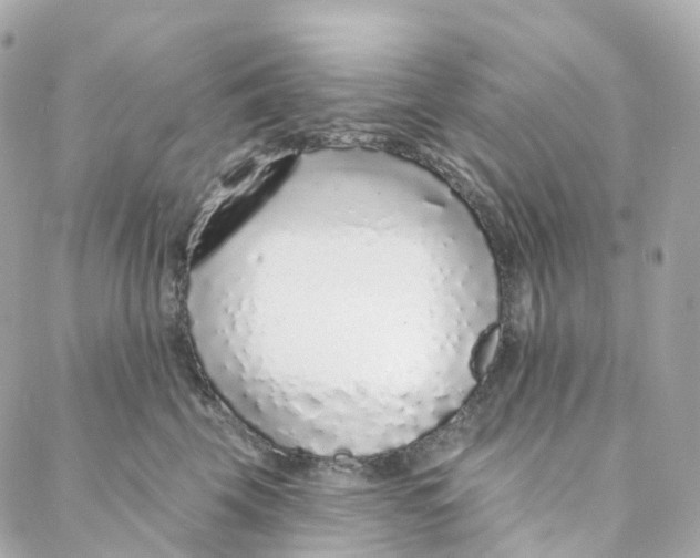 X0000088020569200706011327