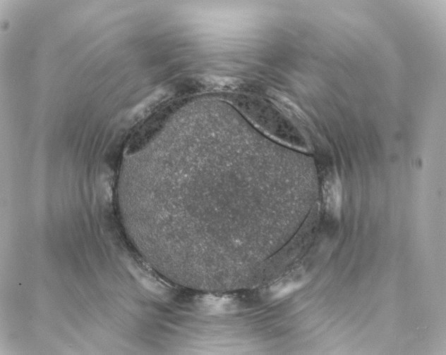 X0000088020570200706011327