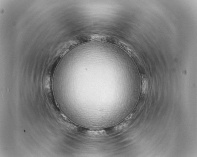 X0000088020571200706011327