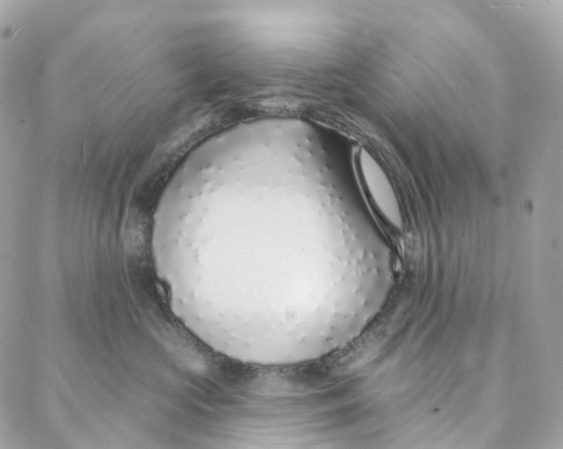 X0000088020573200706011327