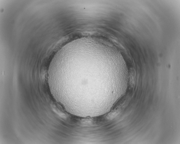 X0000088020574200706011327