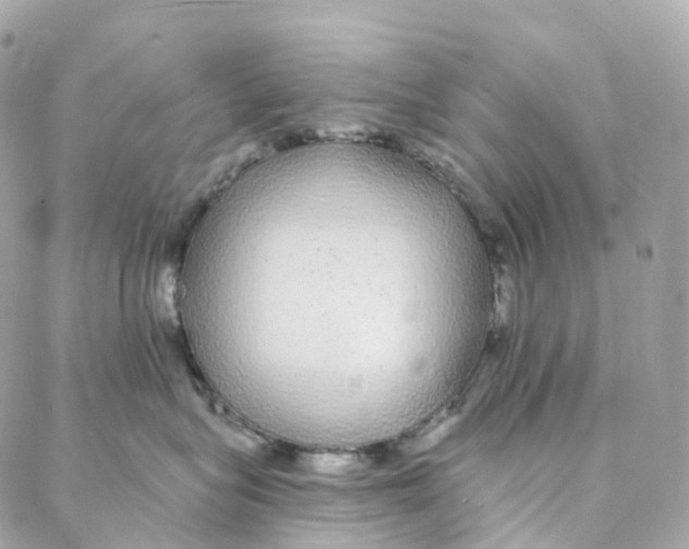 X0000088020575200706011327