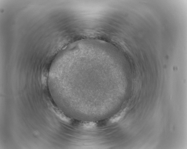 X0000088020576200706011327