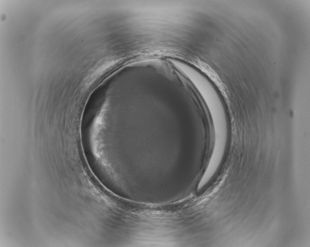 X0000088020577200706011326