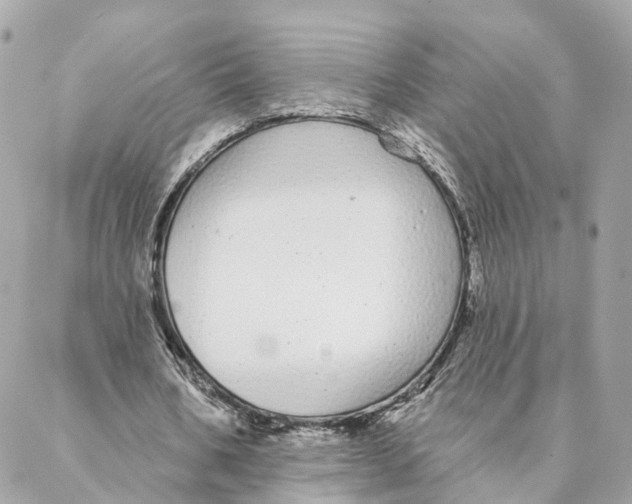 X0000088020578200706011326