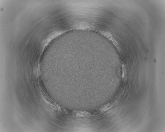 X0000088020579200706011326