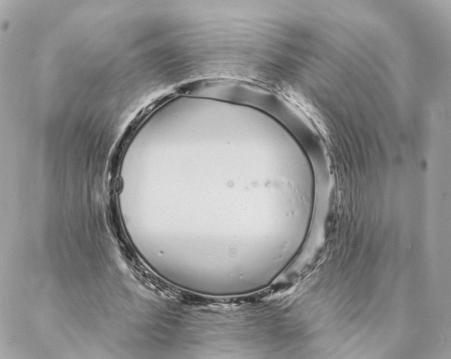 X0000088020580200706011326