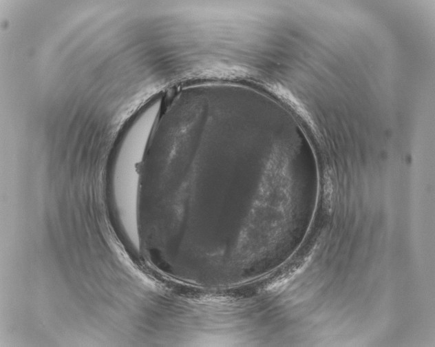 X0000088020581200706011326