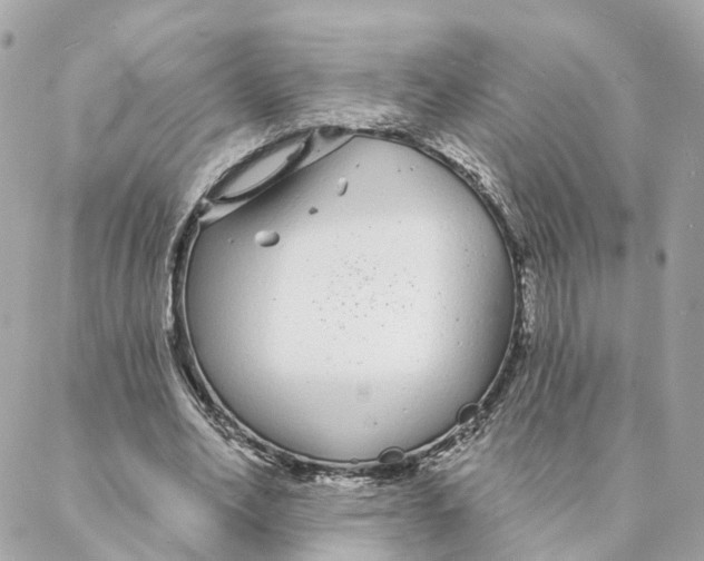 X0000088020582200706011326