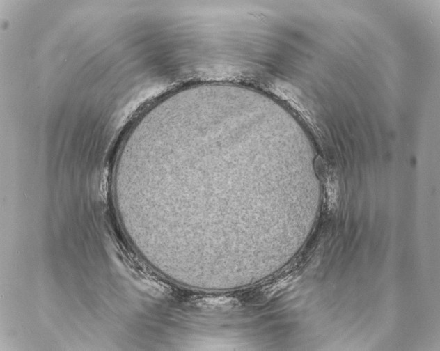 X0000088020583200706011326