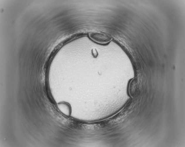 X0000088020584200706011326