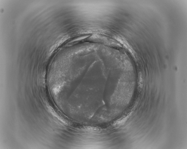 X0000088020585200706011326