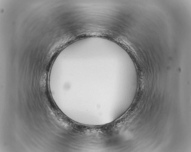 X0000088020586200706011326