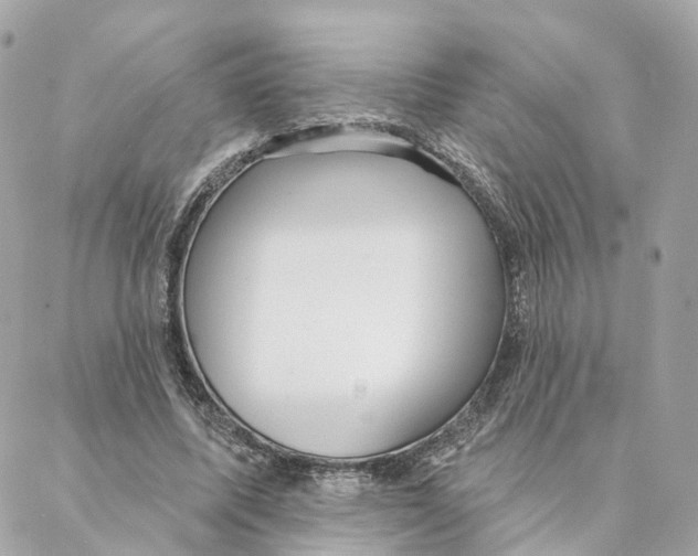 X0000088020587200706011326