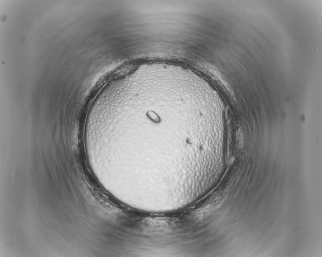 X0000088020588200706011326