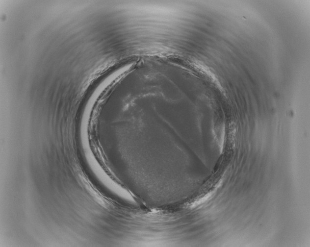 X0000088020589200706011326