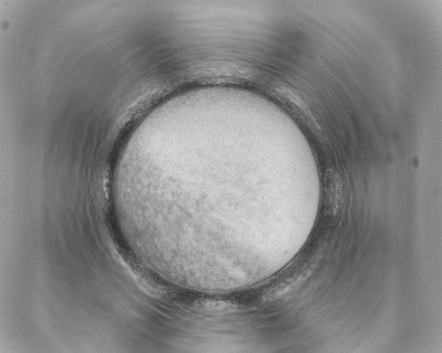 X0000088020590200706011326