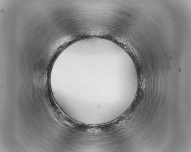 X0000088020591200706011326