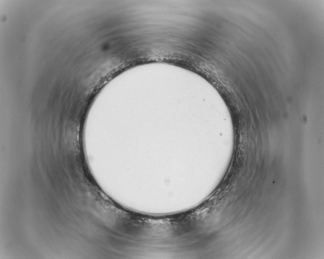 X0000088020592200706011326