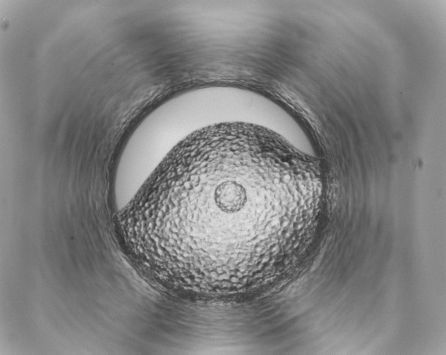 X0000088020593200706011326