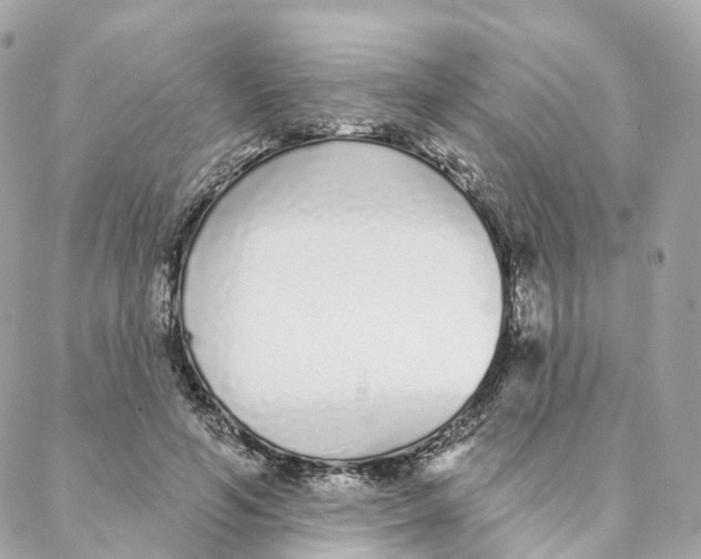 X0000088020594200706011326