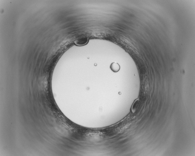 X0000088020595200706011326