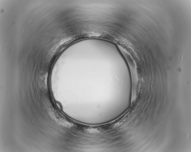 X0000088020596200706011326