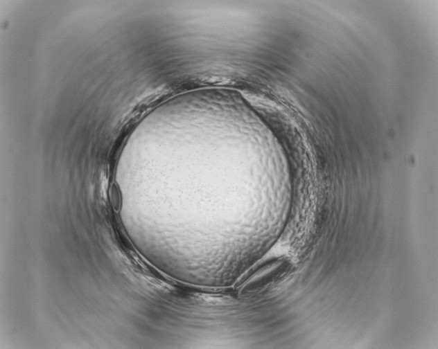 X0000088020597200706011326