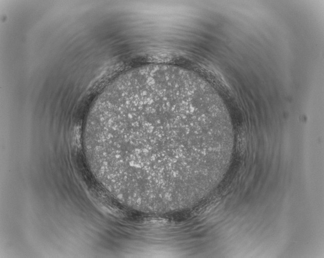 X0000088020598200706011326