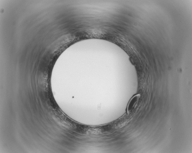 X0000088020599200706011326