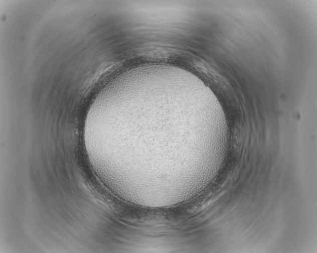 X0000088020600200706011326