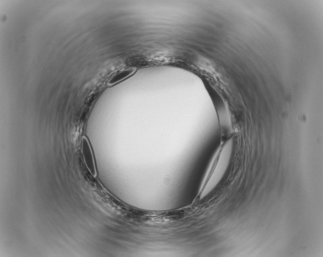 X0000088020601200706011326