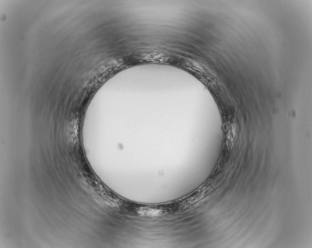 X0000088020602200706011326