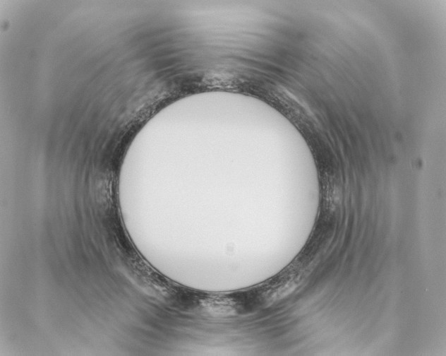 X0000088020603200706011326