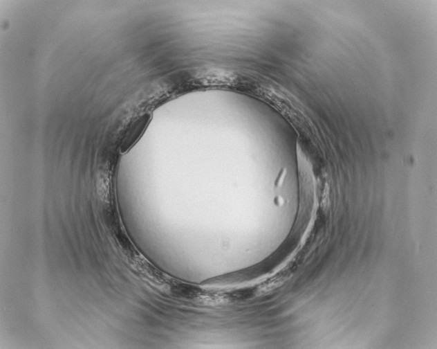 X0000088020604200706011326