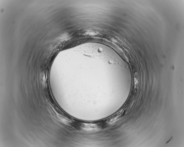 X0000088020605200706011326