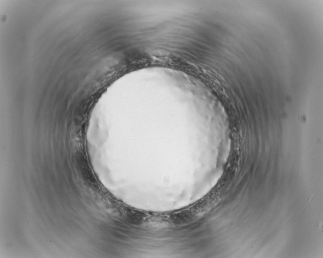 X0000088020606200706011326