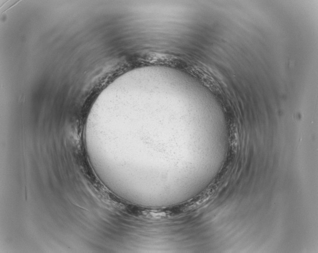 X0000088020607200706011326