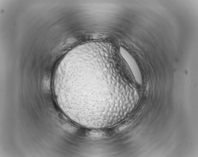 X0000088020608200706011326