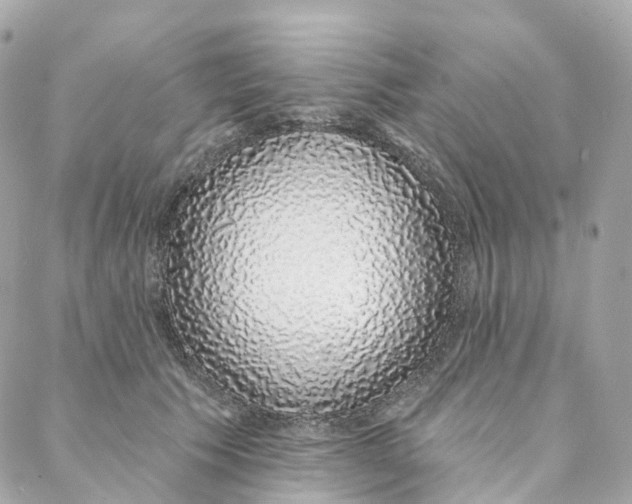 X0000088020609200706011326